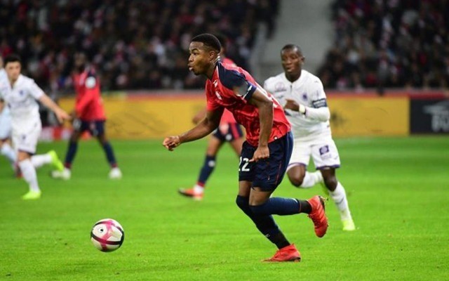 球人需要直 球人需要直